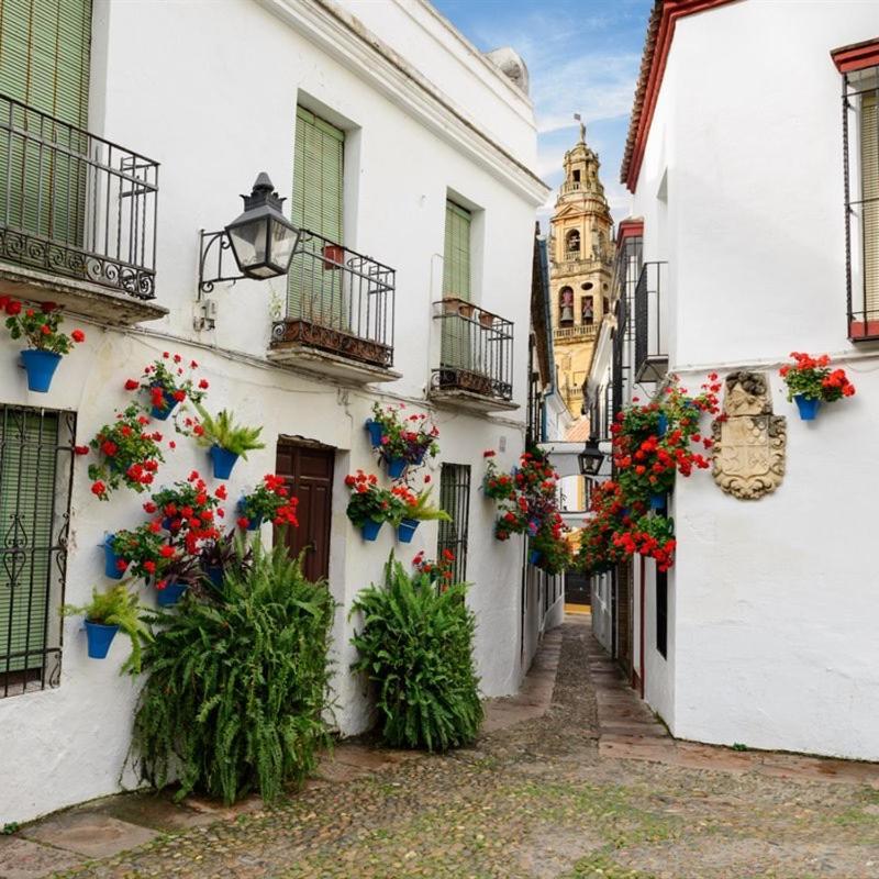 Apartamento El Patio De San Miguel Córdoba Exterior foto